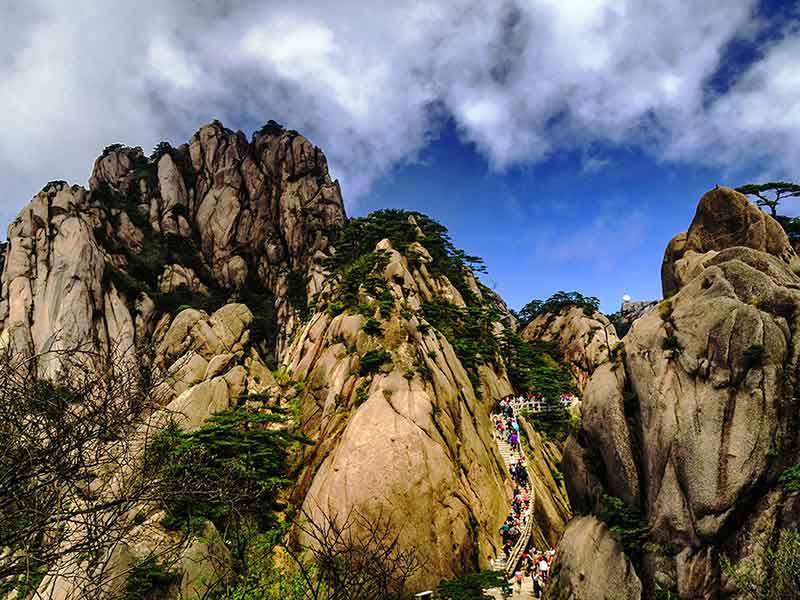 （純玩）黃山、水墨宏村、梓路寺、新安江濱水旅游區(qū)、屯溪老街雙飛4天團(tuán)