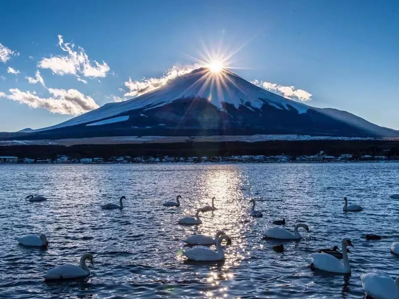 深圳直飛 特惠 日本本州6天5晚游 京阪名三都、兩大名城、平和公園、江之島電車、游湘南海岸